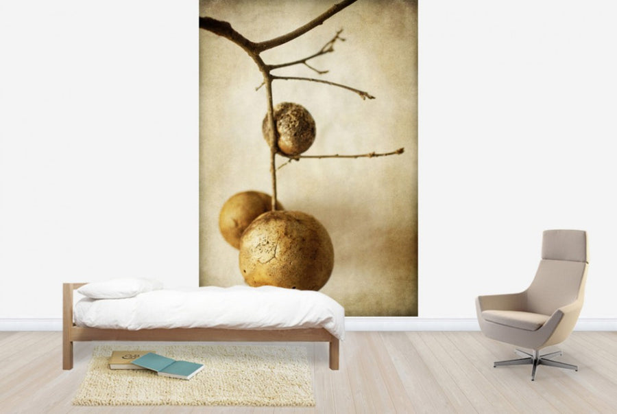 PHOTOWALL / Vintage Oak Pods (e29785)