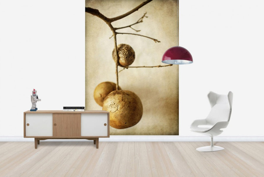 PHOTOWALL / Vintage Oak Pods (e29785)