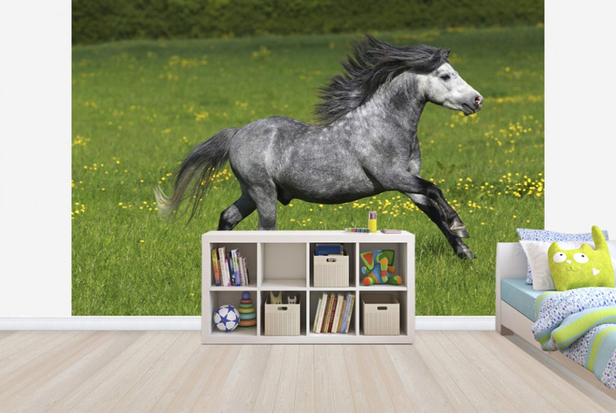 PHOTOWALL / Horse on Green and Yellow Meadow I (e29826)