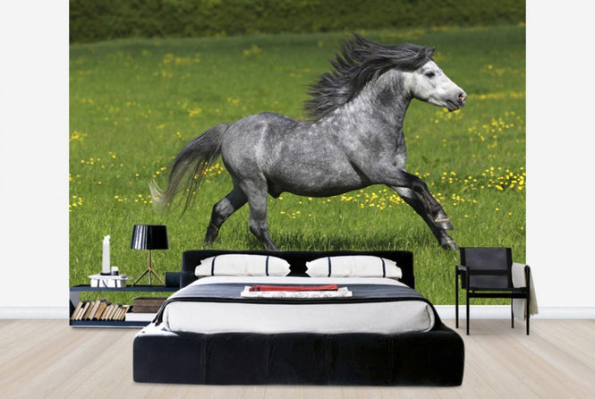 PHOTOWALL / Horse on Green and Yellow Meadow I (e29826)