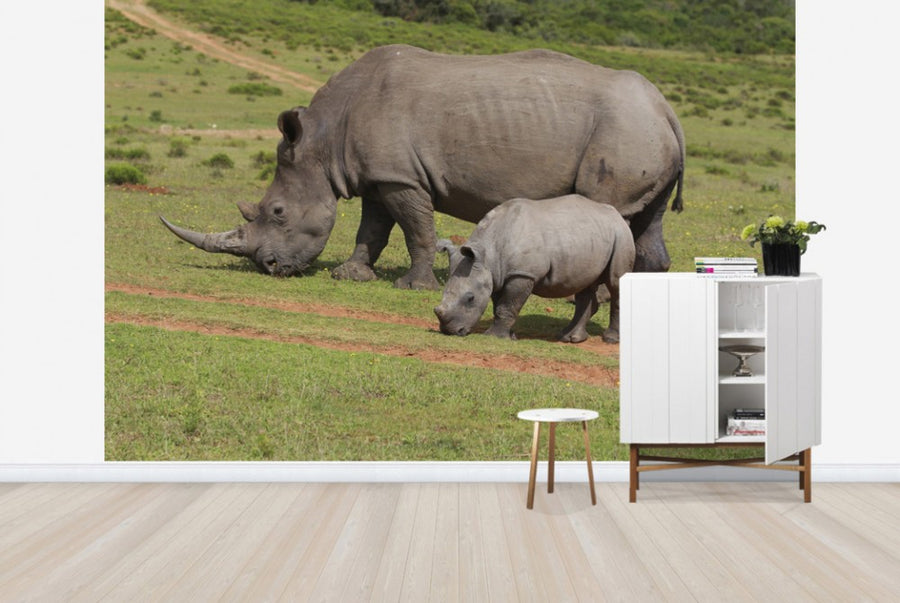 PHOTOWALL / Grazing White Rhinoceros (e29851)