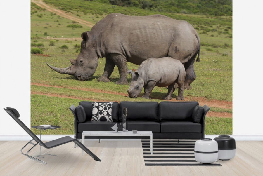 PHOTOWALL / Grazing White Rhinoceros (e29851)