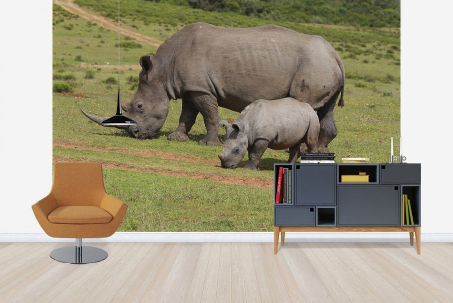 PHOTOWALL / Grazing White Rhinoceros (e29851)