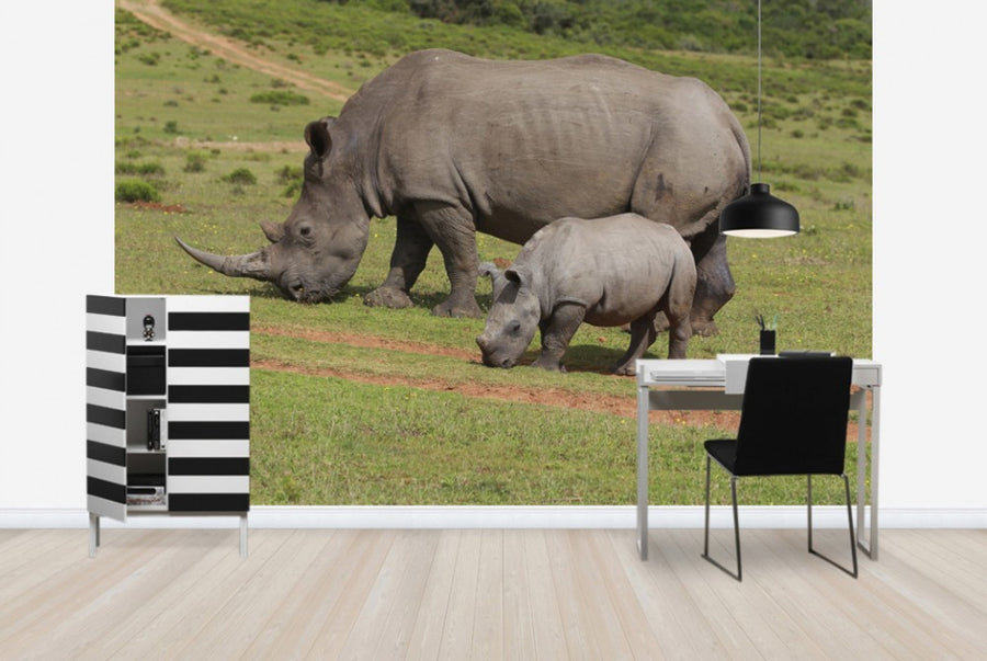 PHOTOWALL / Grazing White Rhinoceros (e29851)