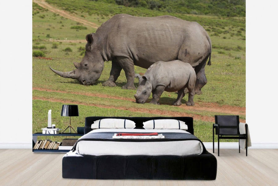 PHOTOWALL / Grazing White Rhinoceros (e29851)