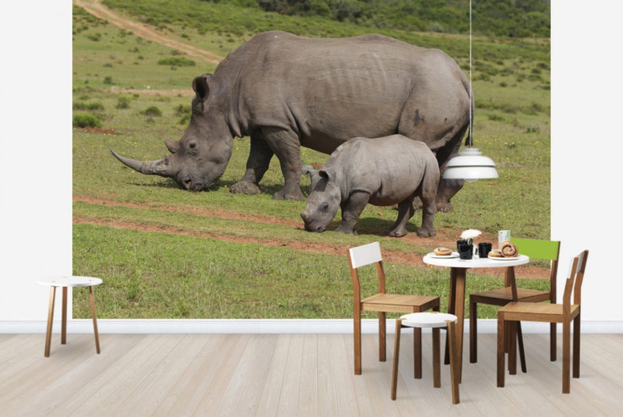 PHOTOWALL / Grazing White Rhinoceros (e29851)