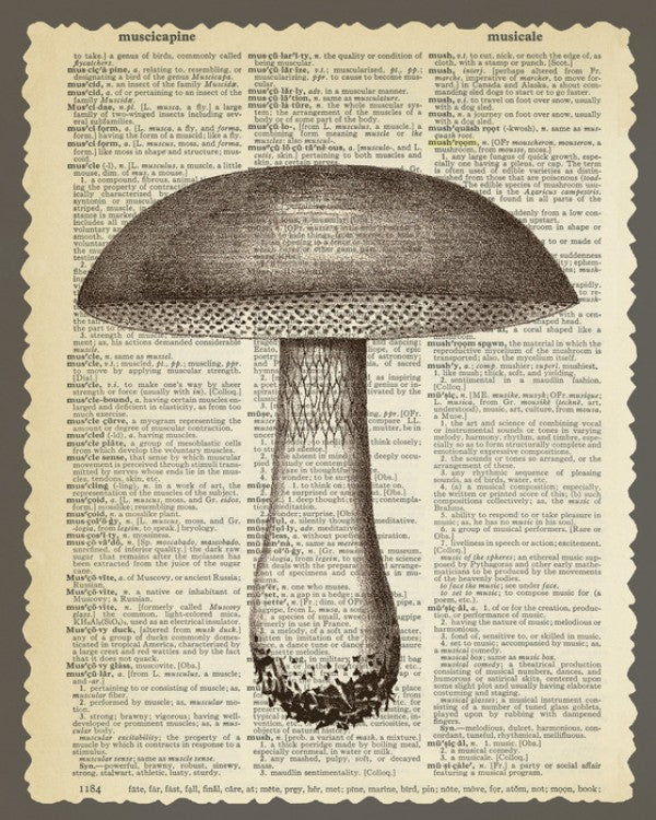 PHOTOWALL / Mushroom and Text (e29853)