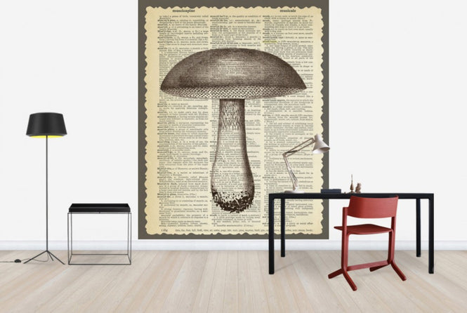 PHOTOWALL / Mushroom and Text (e29853)