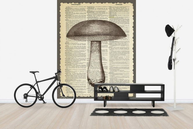 PHOTOWALL / Mushroom and Text (e29853)