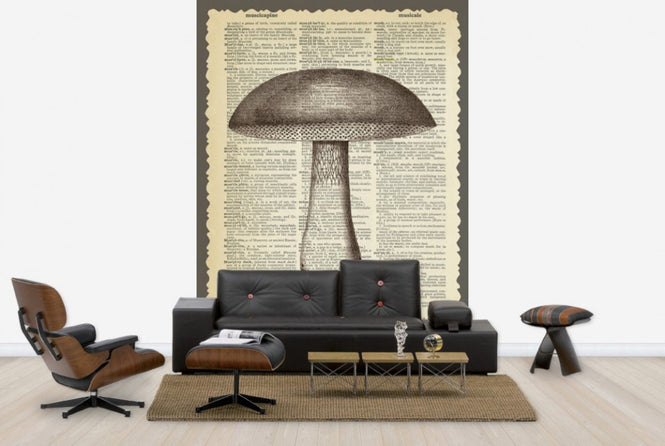 PHOTOWALL / Mushroom and Text (e29853)