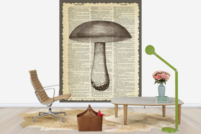 PHOTOWALL / Mushroom and Text (e29853)