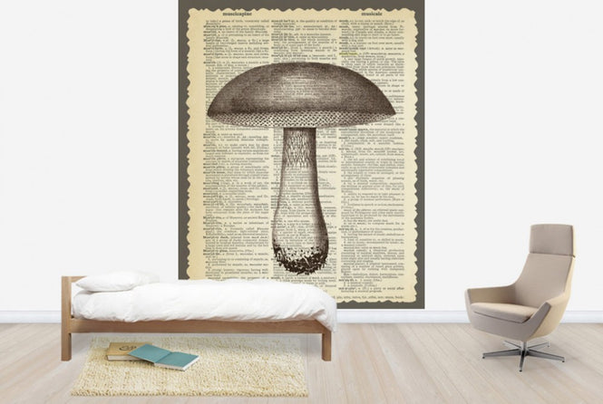 PHOTOWALL / Mushroom and Text (e29853)