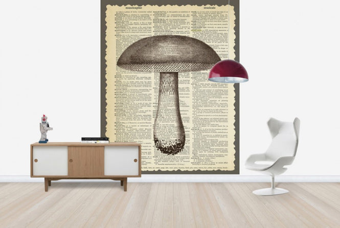 PHOTOWALL / Mushroom and Text (e29853)