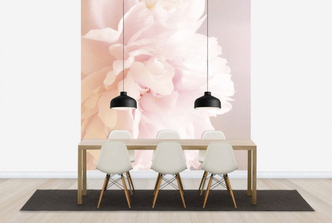 PHOTOWALL / Light Pink Peony (e29859)