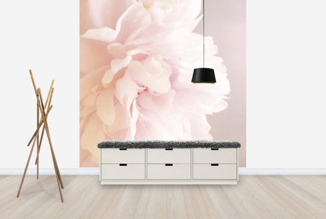 PHOTOWALL / Light Pink Peony (e29859)
