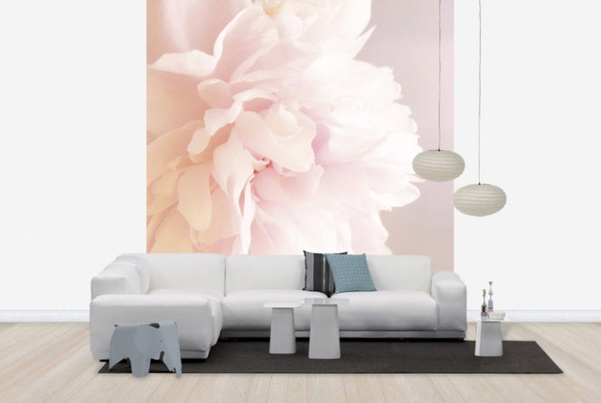 PHOTOWALL / Light Pink Peony (e29859)