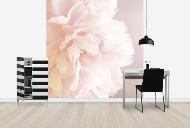 PHOTOWALL / Light Pink Peony (e29859)