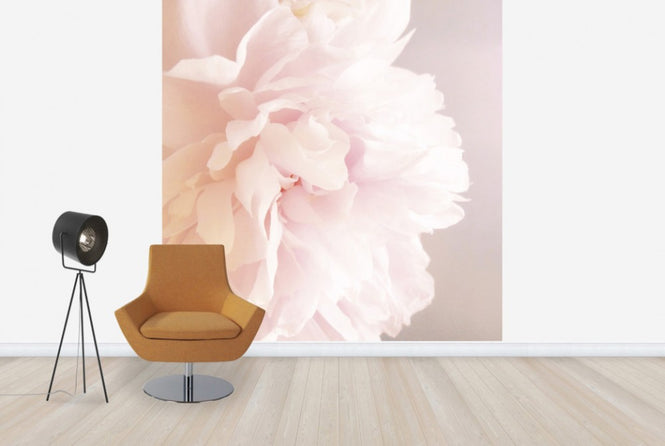 PHOTOWALL / Light Pink Peony (e29859)