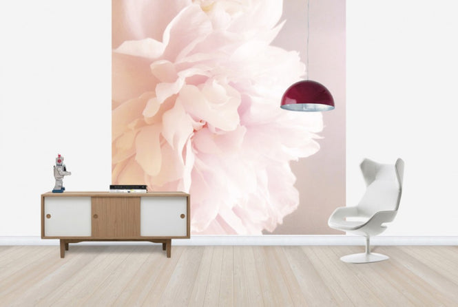 PHOTOWALL / Light Pink Peony (e29859)