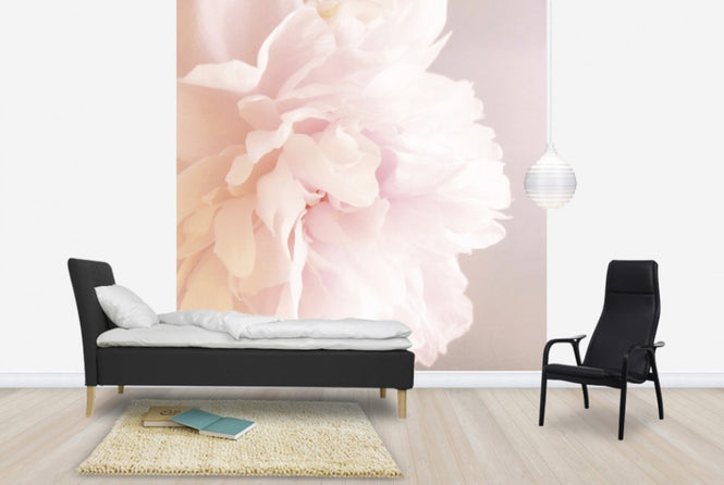PHOTOWALL / Light Pink Peony (e29859)