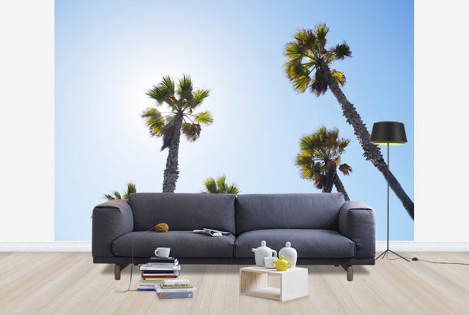 PHOTOWALL / Palm Ave (e29821)