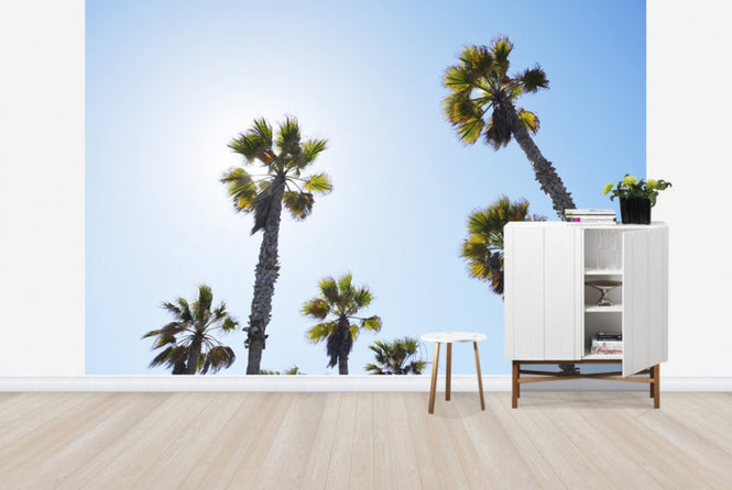 PHOTOWALL / Palm Ave (e29821)
