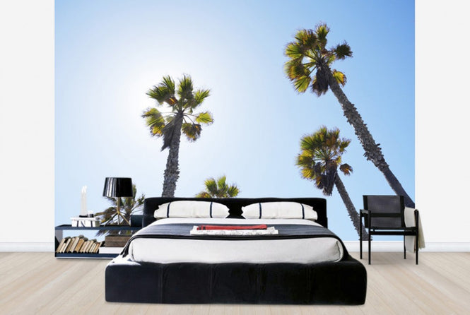 PHOTOWALL / Palm Ave (e29821)