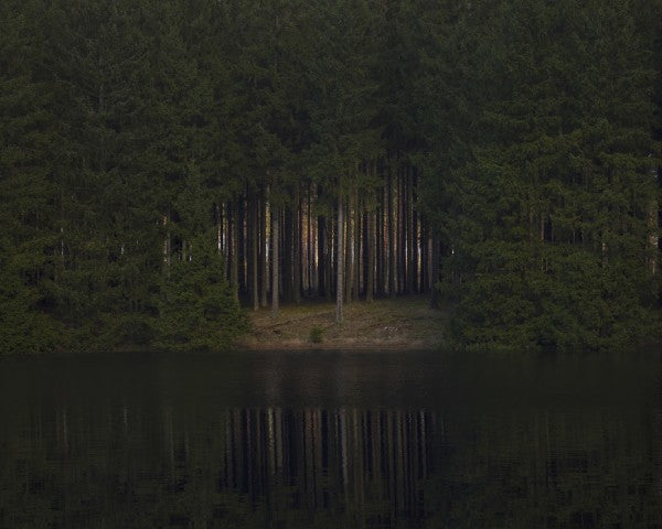 PHOTOWALL / Glade Reflecting in Still Water (e29945)