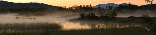 PHOTOWALL / Evening Fog over Lake, Senja Norway (e29939)