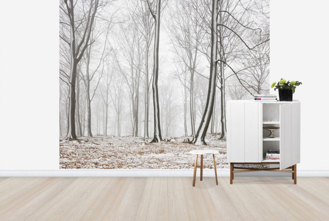 PHOTOWALL / Bare Stems in Winter (e29954)