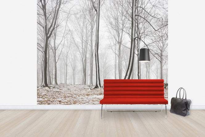 PHOTOWALL / Bare Stems in Winter (e29954)
