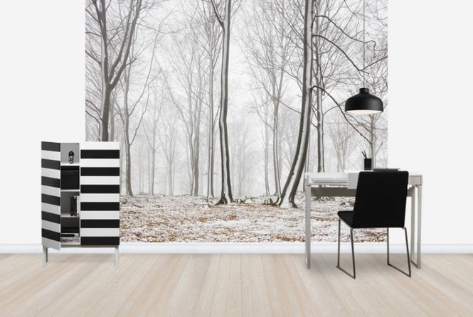 PHOTOWALL / Bare Stems in Winter (e29954)