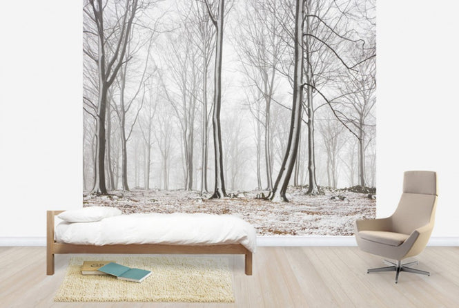 PHOTOWALL / Bare Stems in Winter (e29954)
