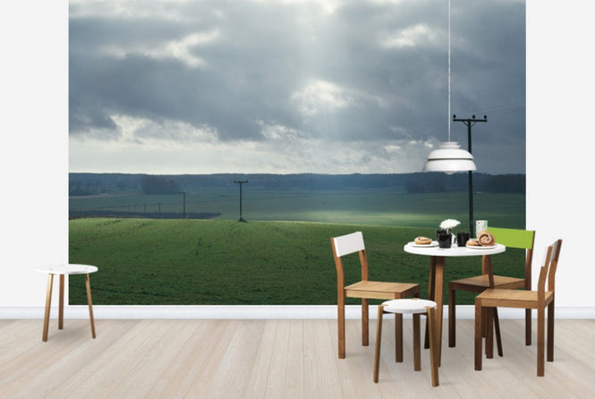 PHOTOWALL / Powerlines in Field (e29956)