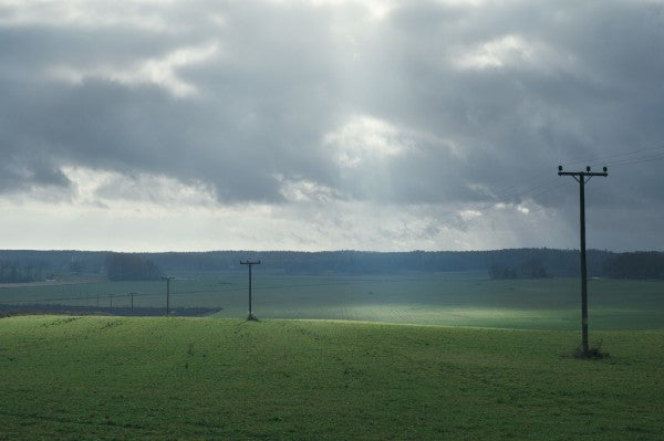 PHOTOWALL / Powerlines in Field (e29956)
