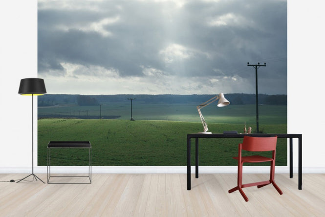 PHOTOWALL / Powerlines in Field (e29956)