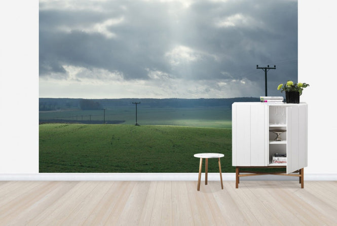 PHOTOWALL / Powerlines in Field (e29956)