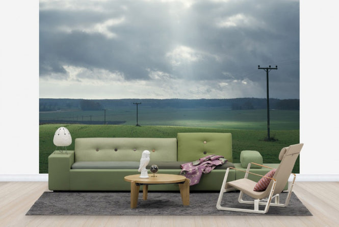 PHOTOWALL / Powerlines in Field (e29956)