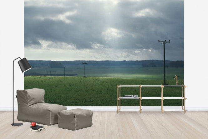 PHOTOWALL / Powerlines in Field (e29956)