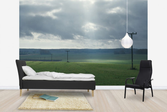 PHOTOWALL / Powerlines in Field (e29956)