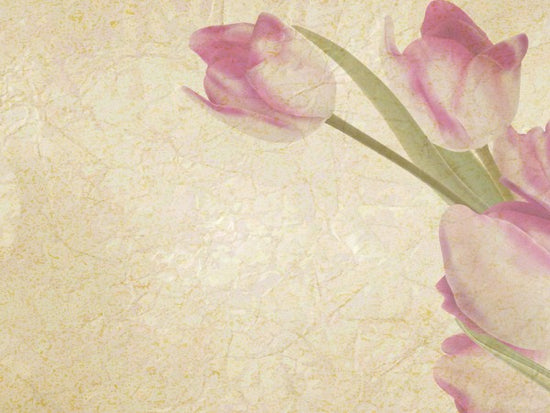 PHOTOWALL / Vintage Tulips (e25822)