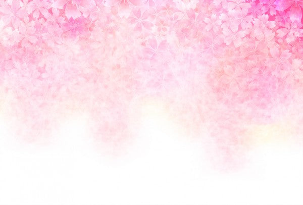 PHOTOWALL / Cherry Blossom (e25824)