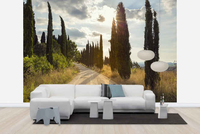 PHOTOWALL / Ponte D´arbia, Toscana (e29978)