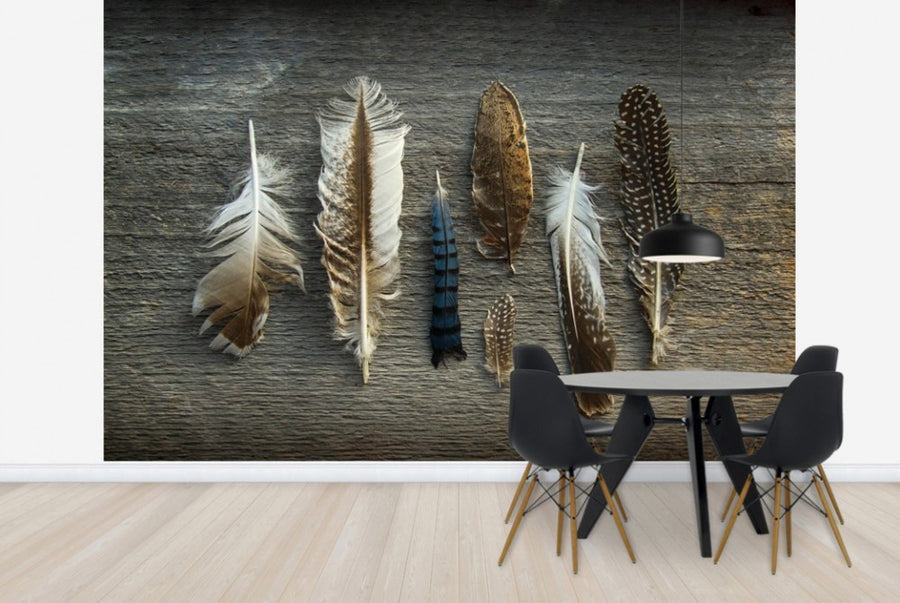 PHOTOWALL / Feathers on Wood (e25890)