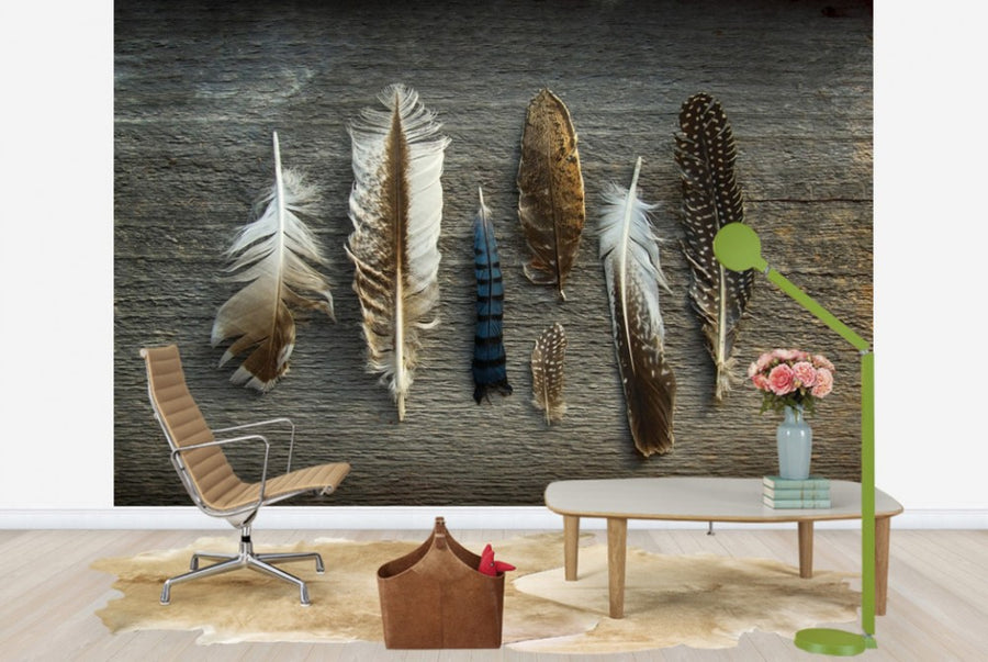 PHOTOWALL / Feathers on Wood (e25890)