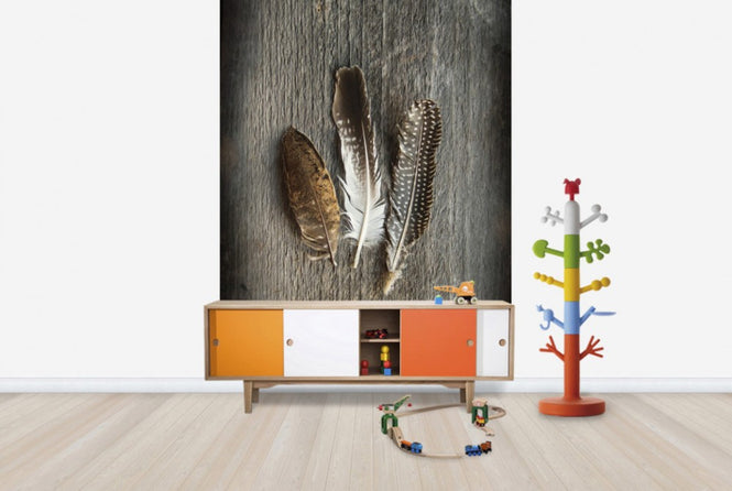 PHOTOWALL / Feathers on Wood II (e25891)