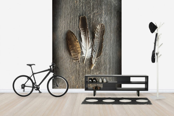 PHOTOWALL / Feathers on Wood II (e25891)