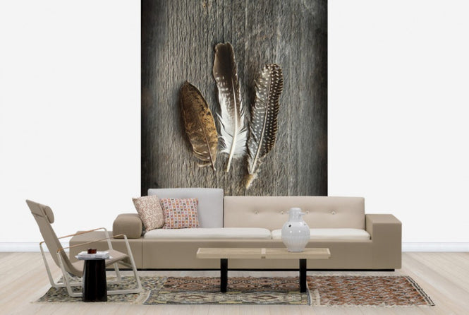 PHOTOWALL / Feathers on Wood II (e25891)