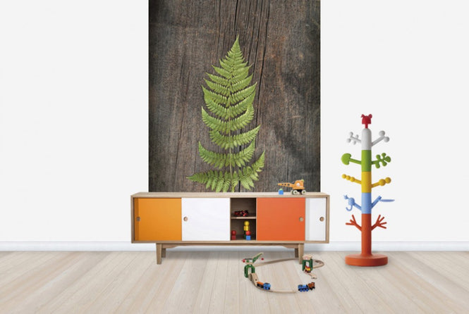 PHOTOWALL / Woodland Fern II (e25892)