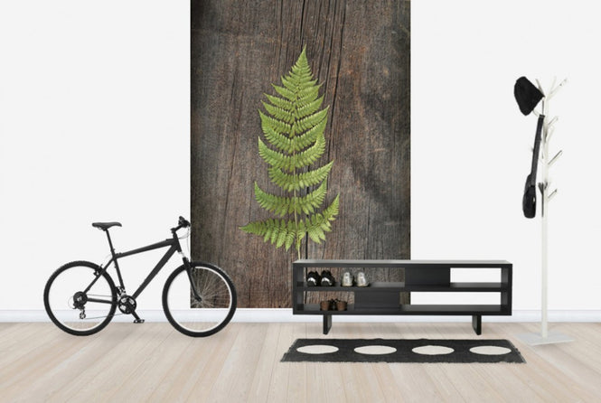 PHOTOWALL / Woodland Fern II (e25892)
